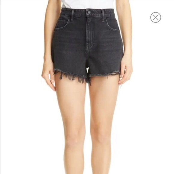 ALEXANDER WANG Bite Distressed Denim Shorts (10) - Picture 3 of 8